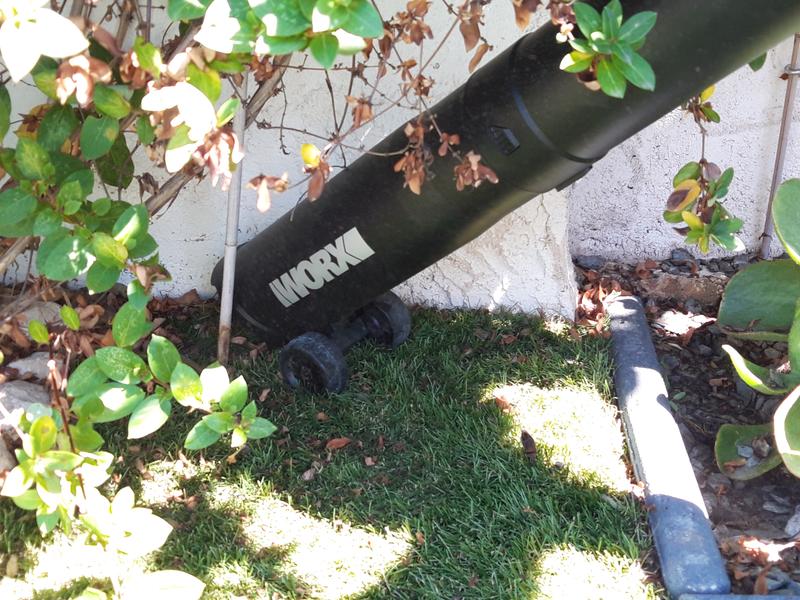 Revisione aperta modale 1 su 6