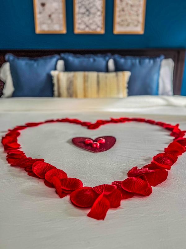 Photo - commentaire&nbsp;2