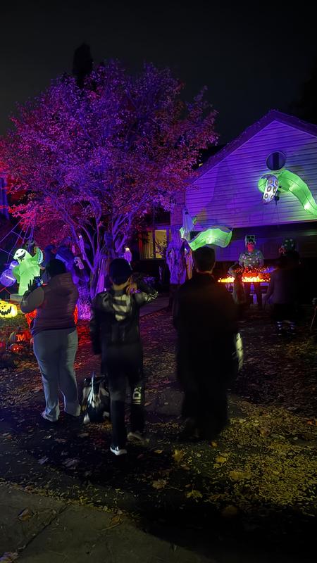 Photo - commentaire&nbsp;1