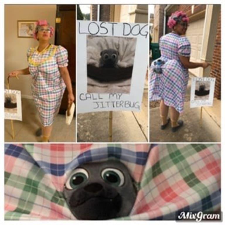 Lost Dog Halloween Costume