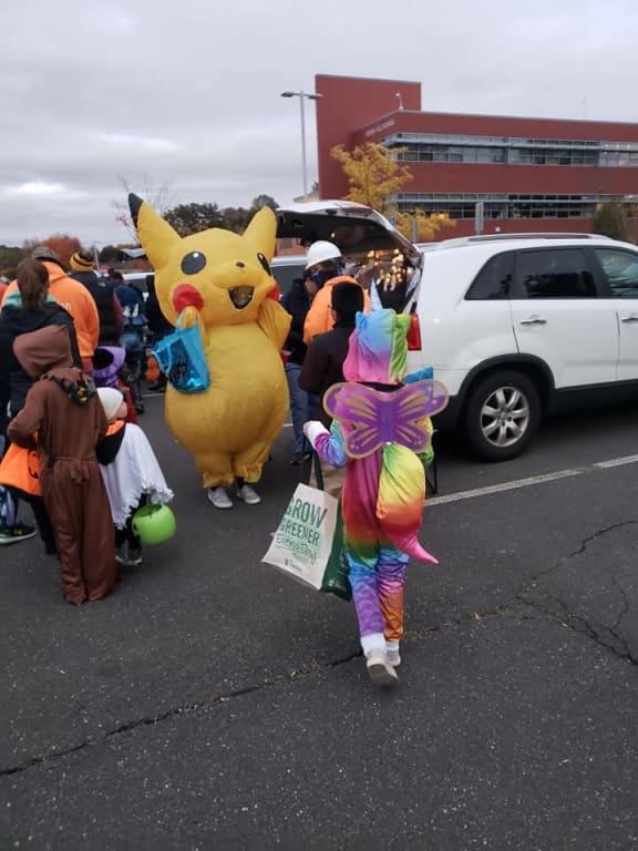Rainbow Kitty Unicorn going to meet Pikachu :)