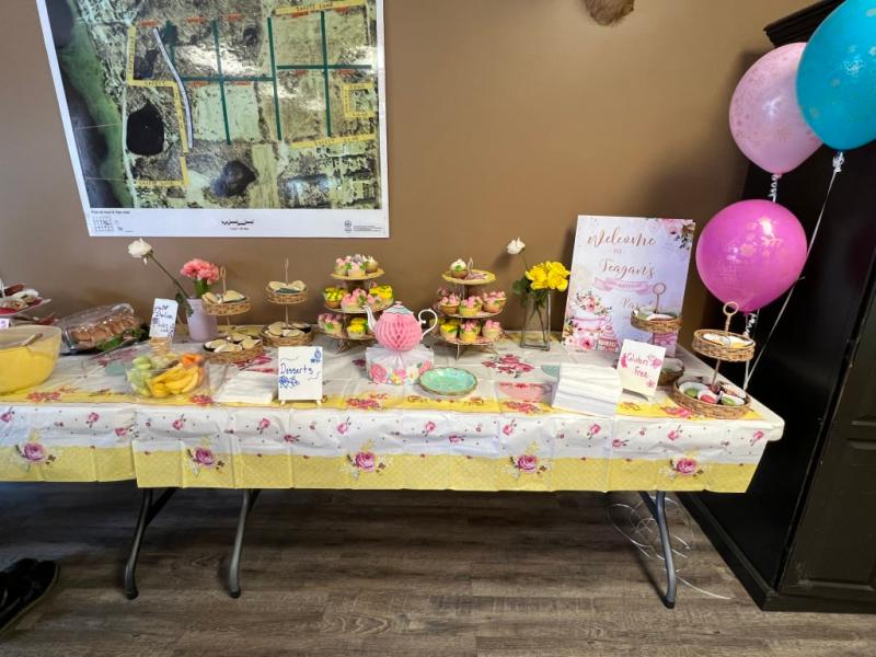 Photo - commentaire&nbsp;2