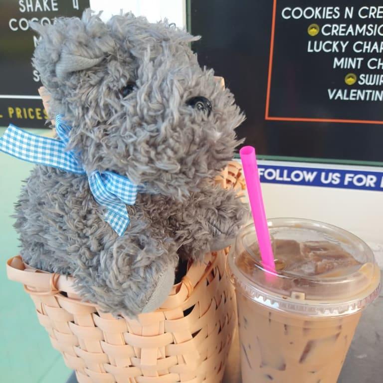 Photo - commentaire&nbsp;2