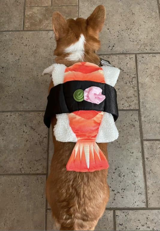 Photo - commentaire&nbsp;2