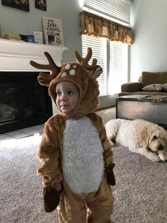 Photo - commentaire&nbsp;3