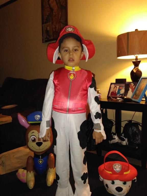 Photo - commentaire&nbsp;8