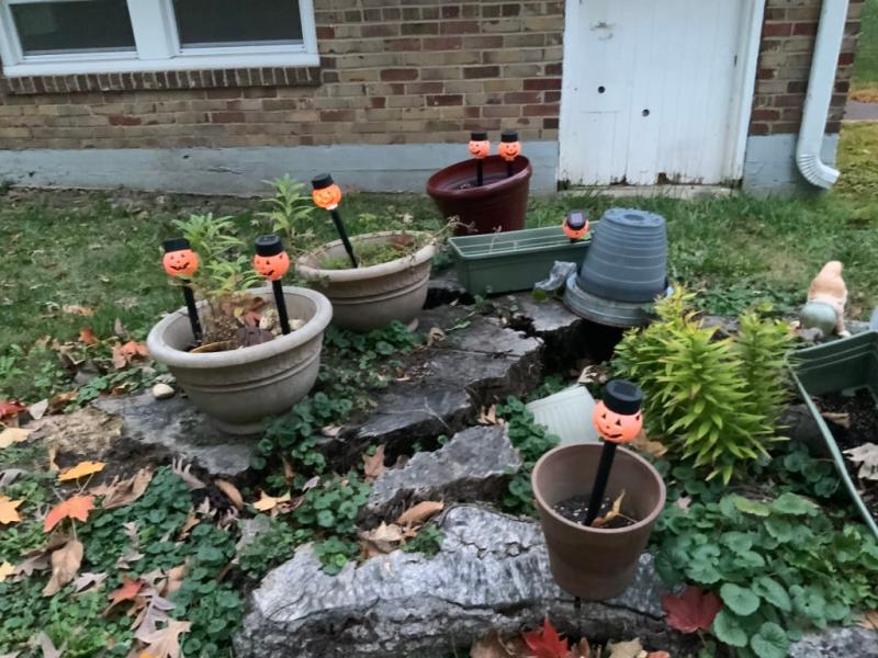 A few, not dark enough to be lit yet..