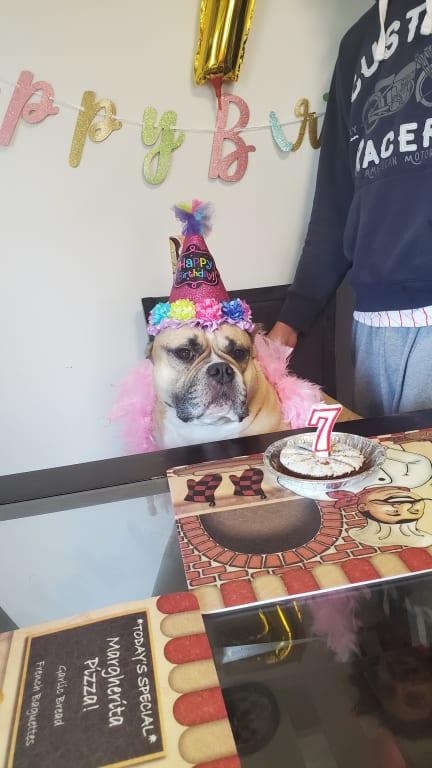 Photo - commentaire&nbsp;1