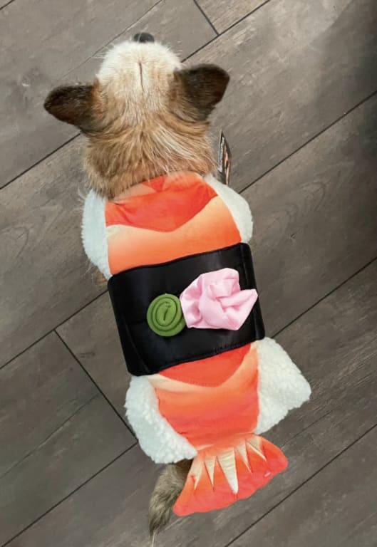 Photo - commentaire&nbsp;4