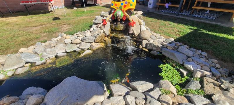 Setup above pond waterfall