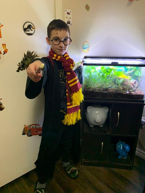 Photo - commentaire&nbsp;5