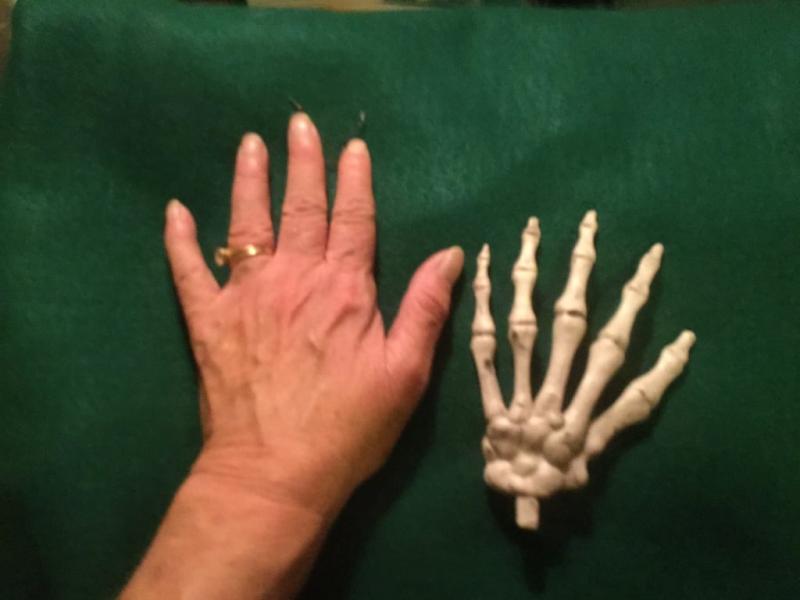 I wear a size small in gloves.