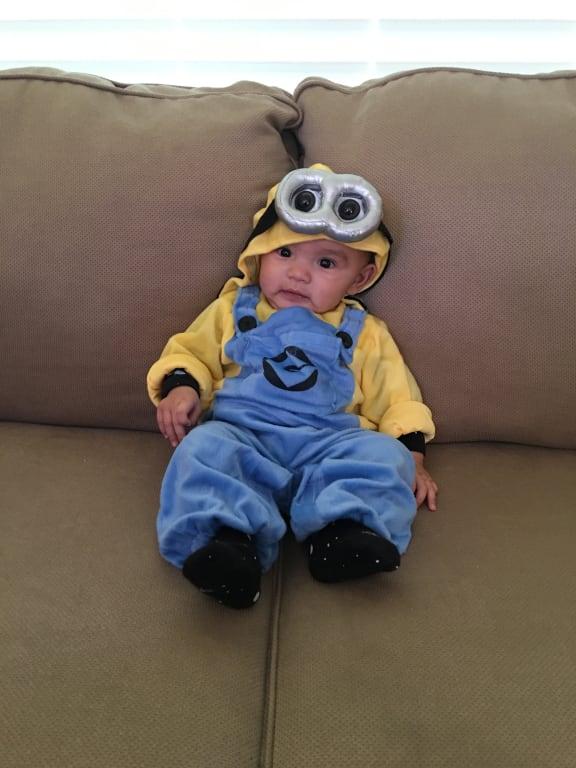 Photo - commentaire&nbsp;6