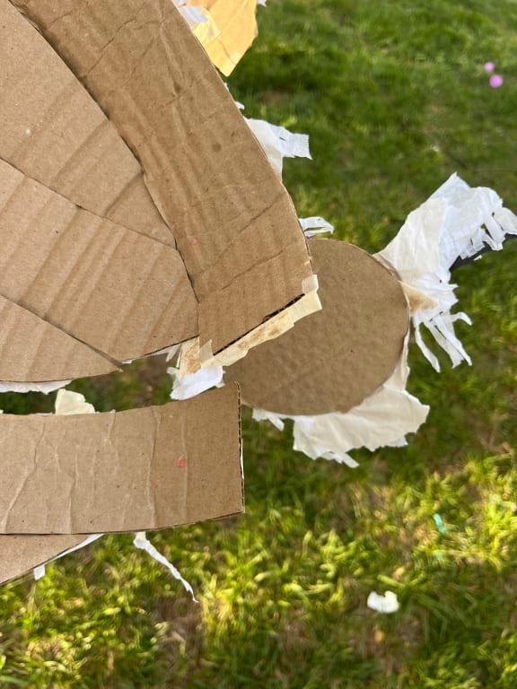 Photo - commentaire&nbsp;8