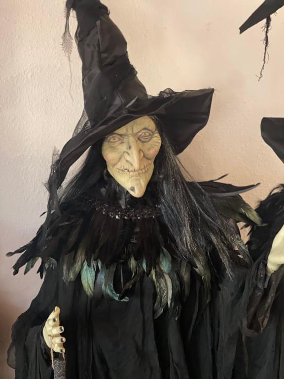 Feather Collar was exactly as pictured!