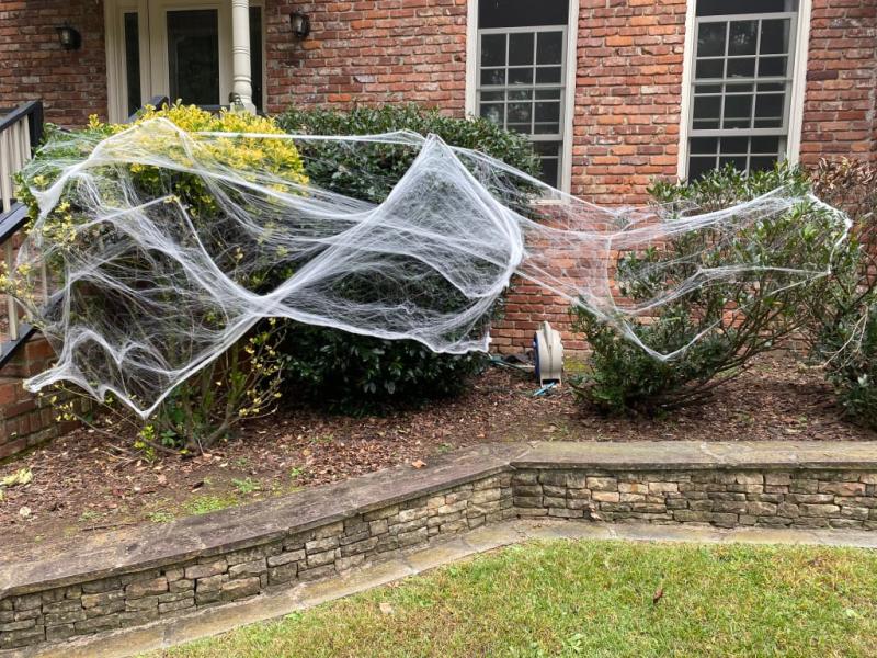 Photo - commentaire&nbsp;2