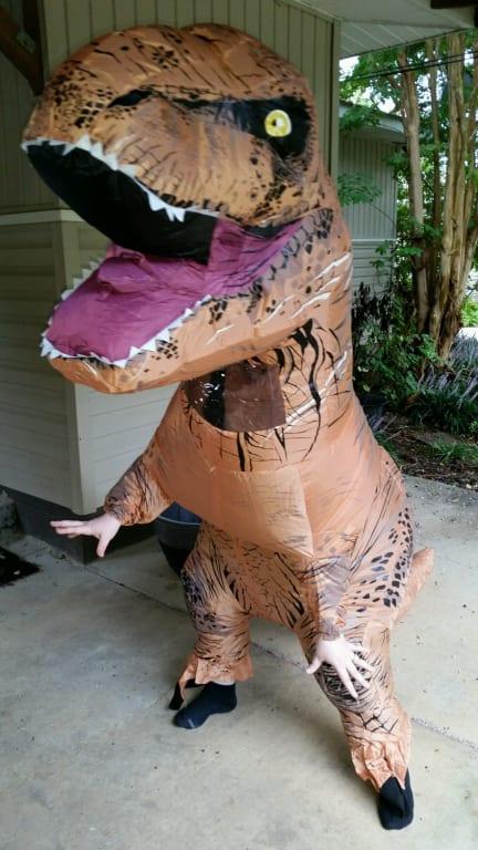 Photo - commentaire&nbsp;8