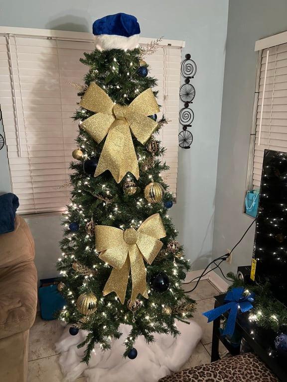 Photo - commentaire&nbsp;4