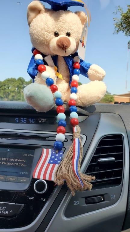 Do you see the airplane in the back? Anyways beautiful bear