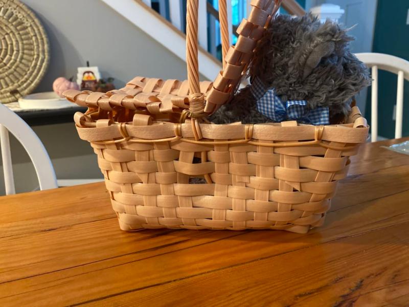 Photo - commentaire&nbsp;4