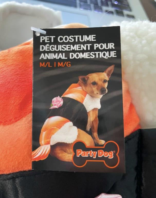 Photo - commentaire&nbsp;3