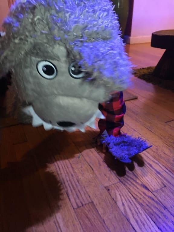 Photo - commentaire&nbsp;5