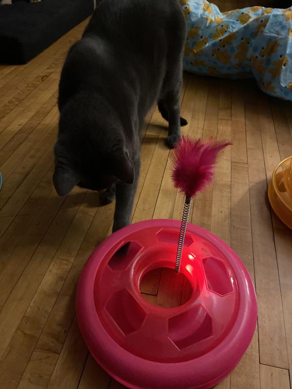 Photo - commentaire&nbsp;4.