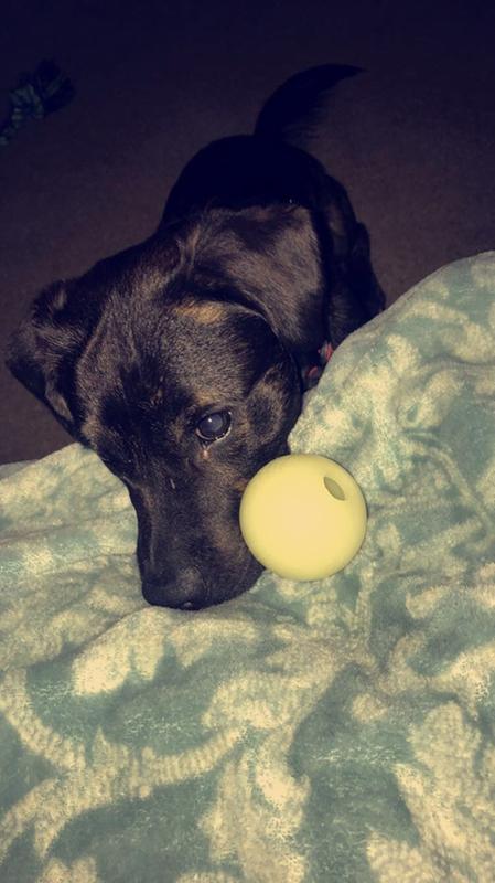 Photo - commentaire&nbsp;8.