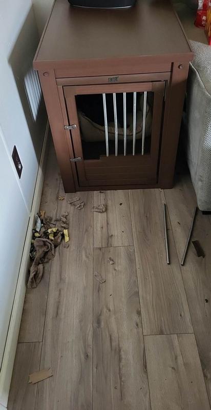 2 hours after my dog was in there