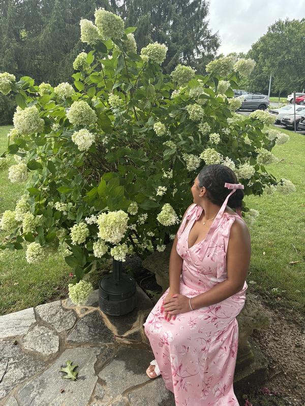 Review Thumbnail Image 0 316348926