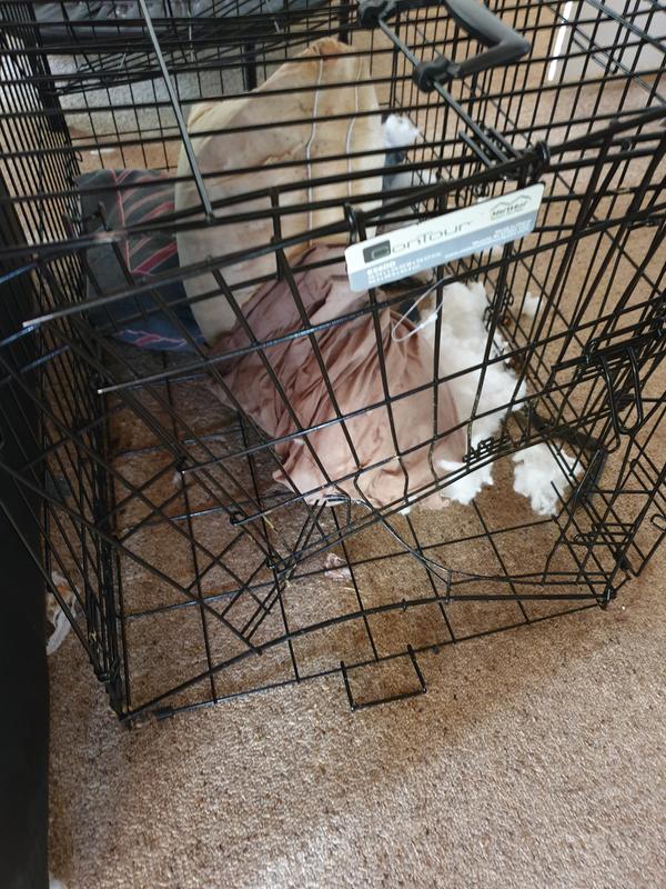 Contour dog outlet crate