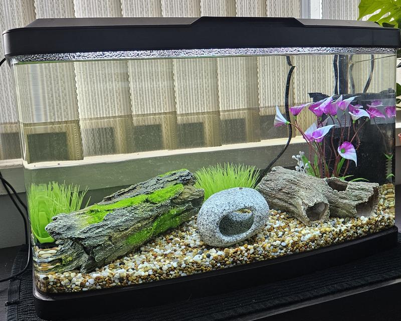 Gallon Tank Parrot Fish Aquarium Decoration 20 Gallon Fish Tank