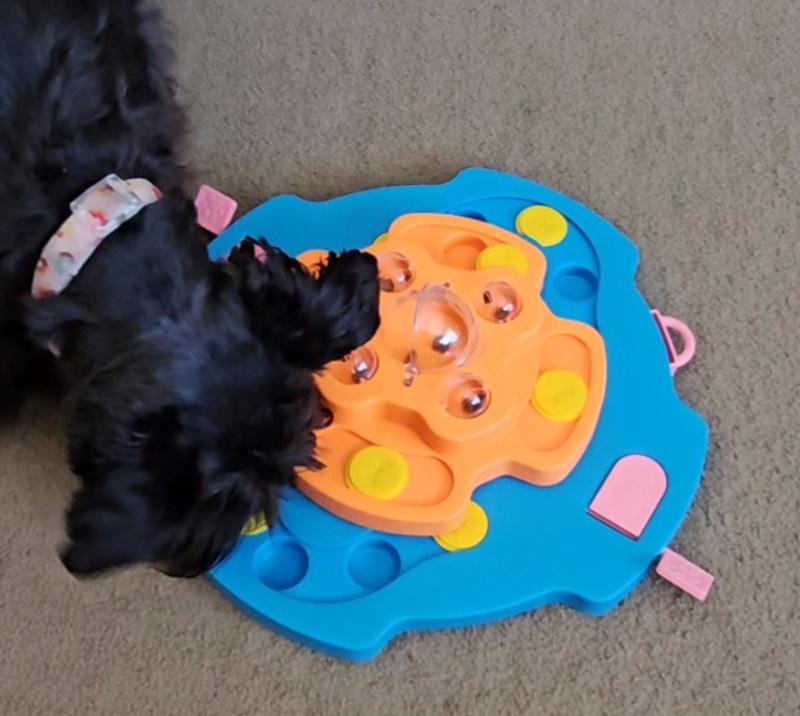 All Day Level Puzzle Dog Feeder Petbarn