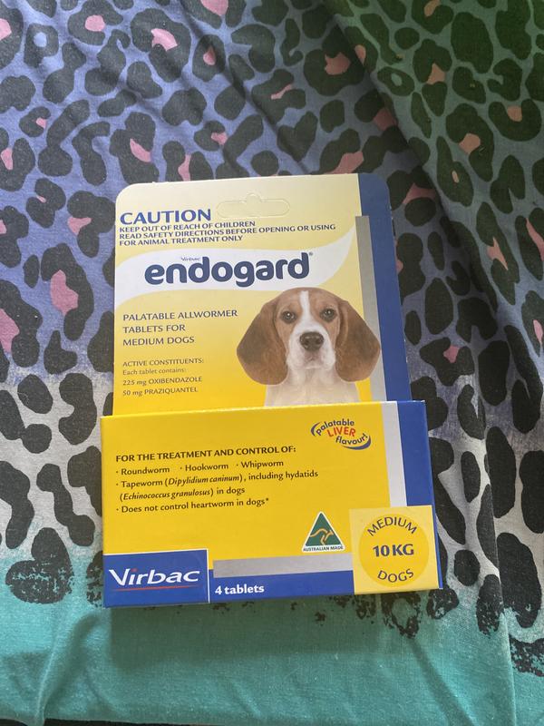 Endogard Medium Dog Wormer 4pk Petbarn