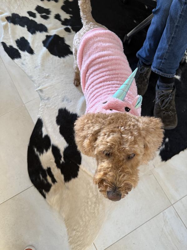 All Day Unicorn Pet Hoodie Pink Petbarn