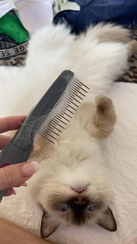 Bow Bell Cat Undercoat Comb for Short Wiry or tough Coats 1