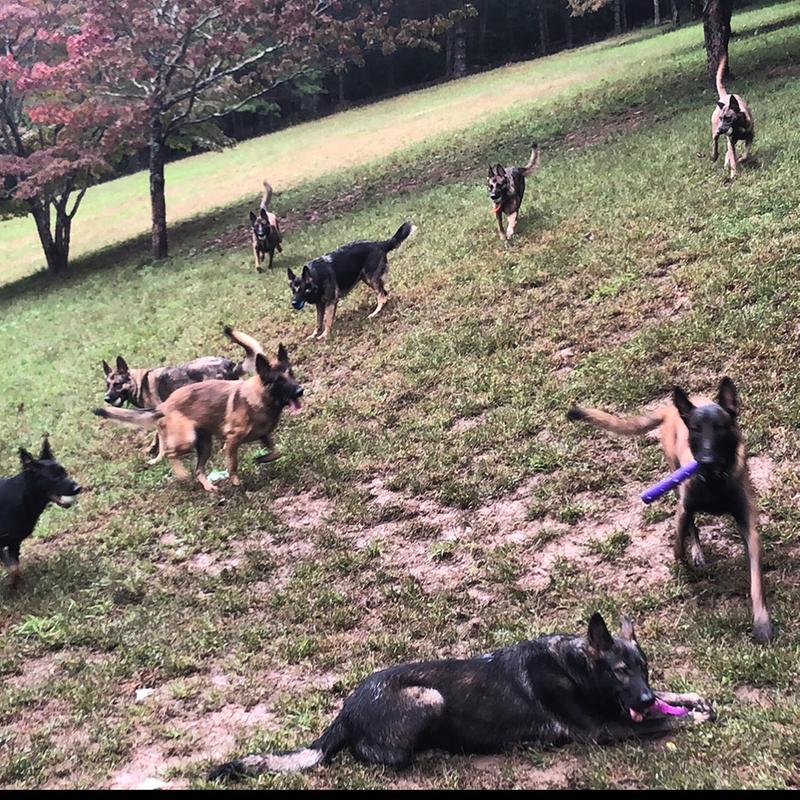 Photo - commentaire&nbsp;5.