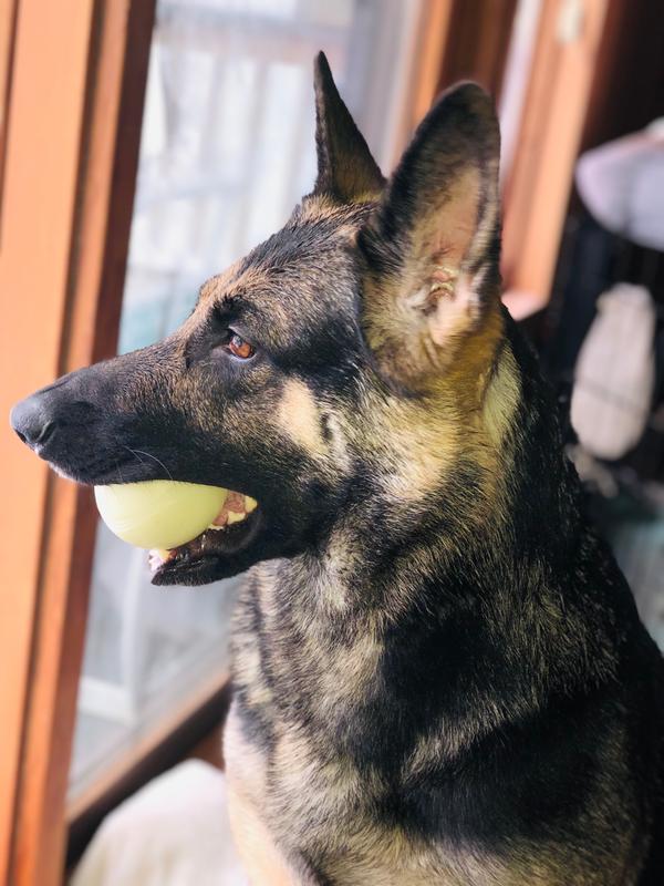 Photo - commentaire&nbsp;7.