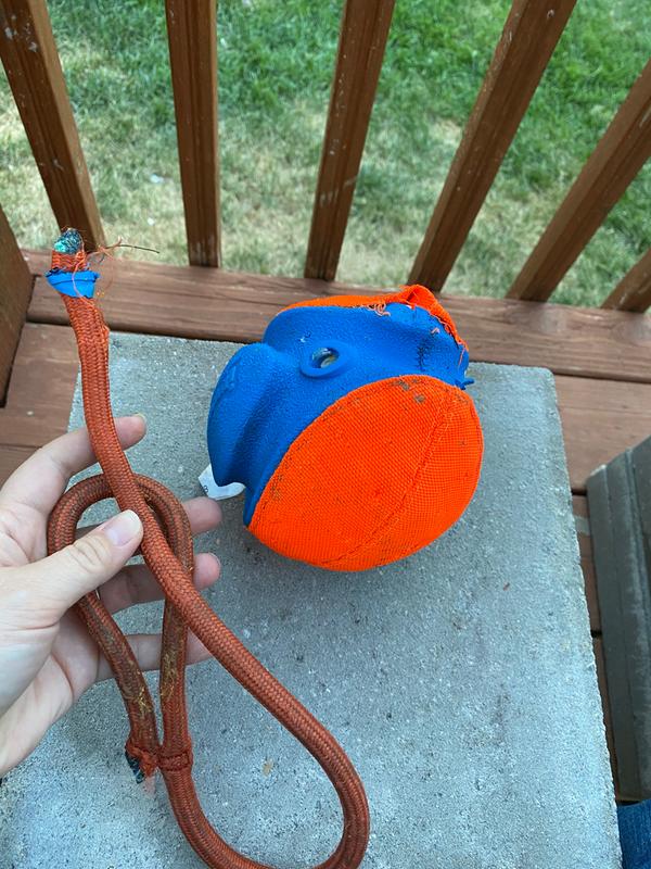 Photo - commentaire&nbsp;1.