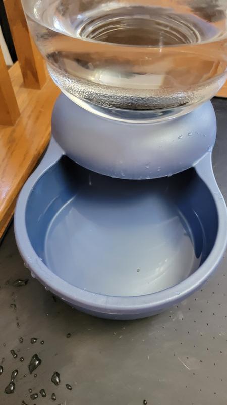 You can see the water line after I added a couple of cups of water.