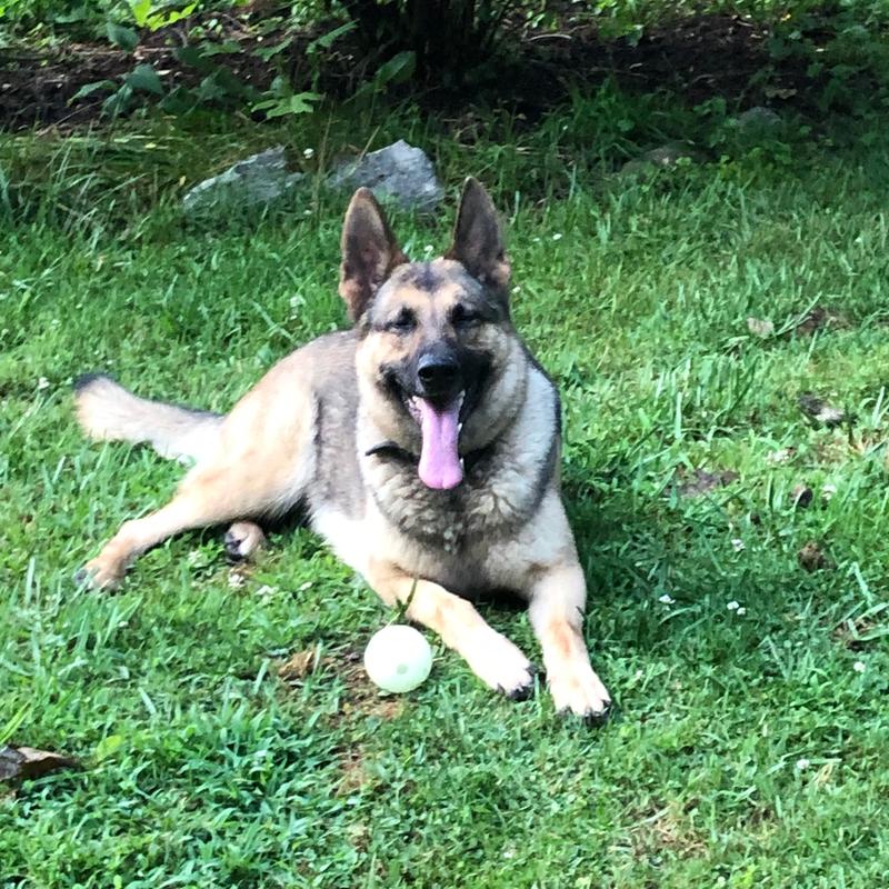 Photo - commentaire&nbsp;6.