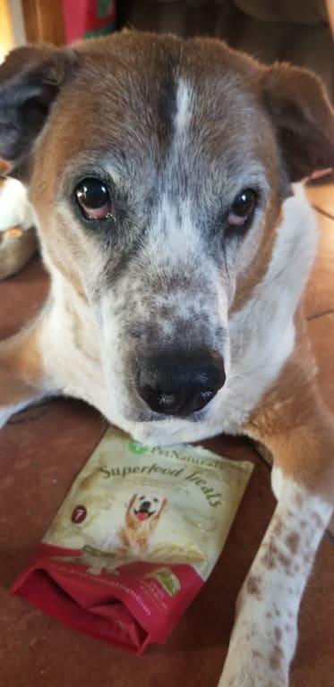 Scarlett loves her healthy treats