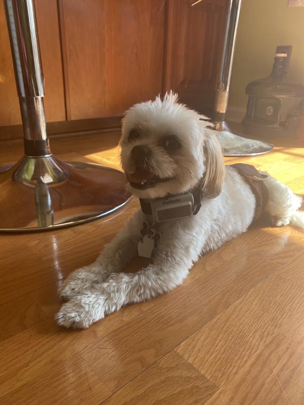 Wonderfully chilling.