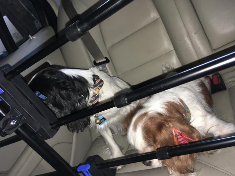 Guess were staying in the backseat