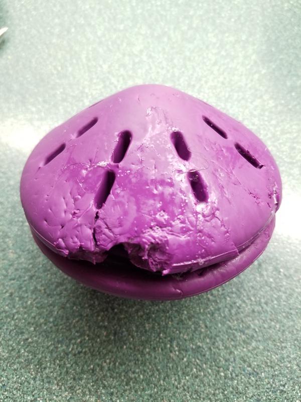 In the house for 20 minutes