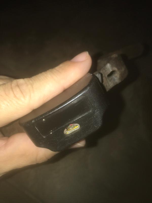 Disintegrated button, exposed electronics