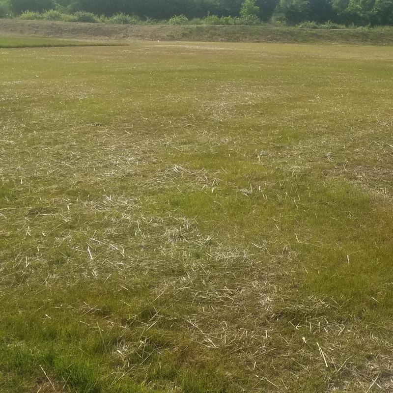 Our backyard is flat and square and easy to hide the wiring!