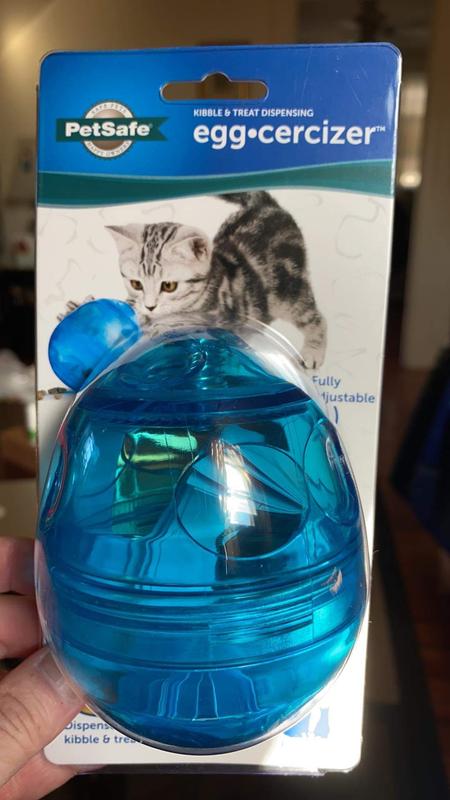 Treats and excersize