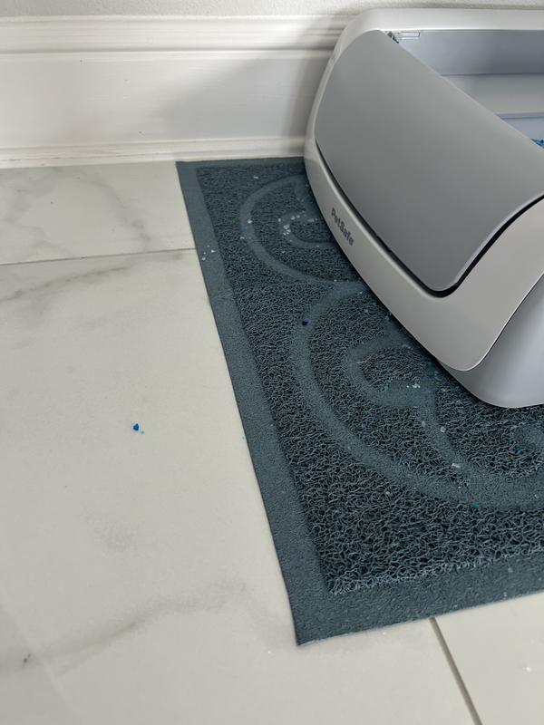 Litter outside the box