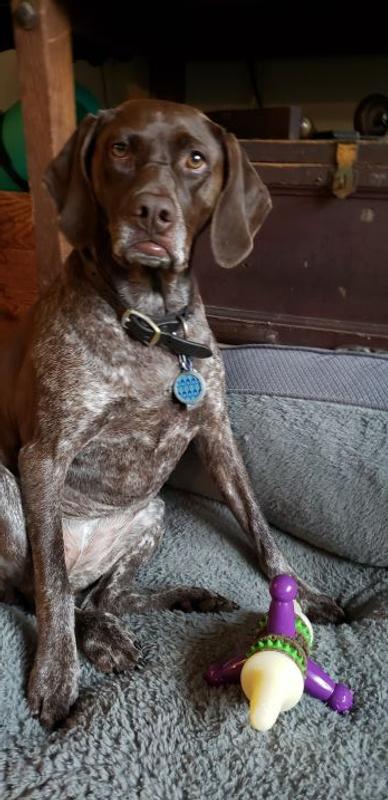 Zeny with size medium